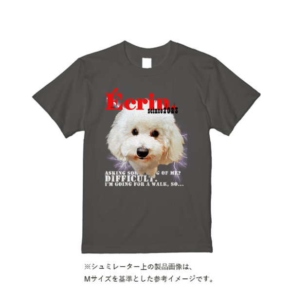6.1oz ガーメントダイTシャツ