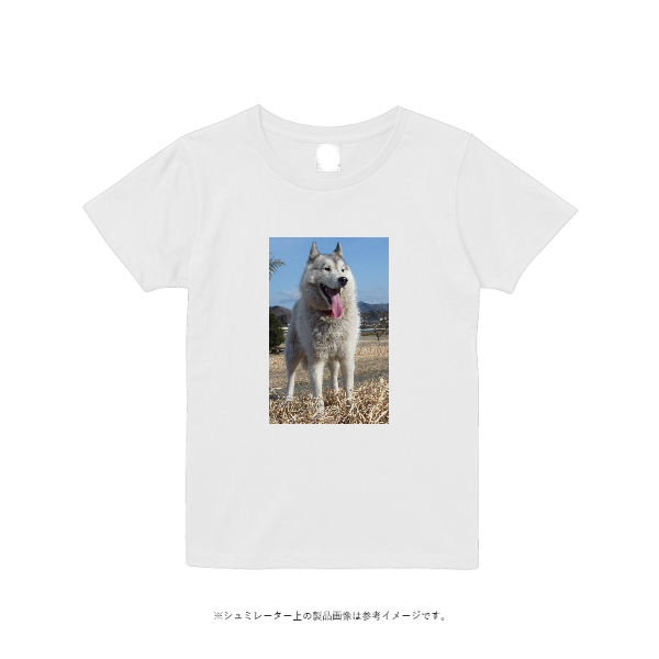 5.6オンス ヘビーウエイトＴシャツ(レディース)