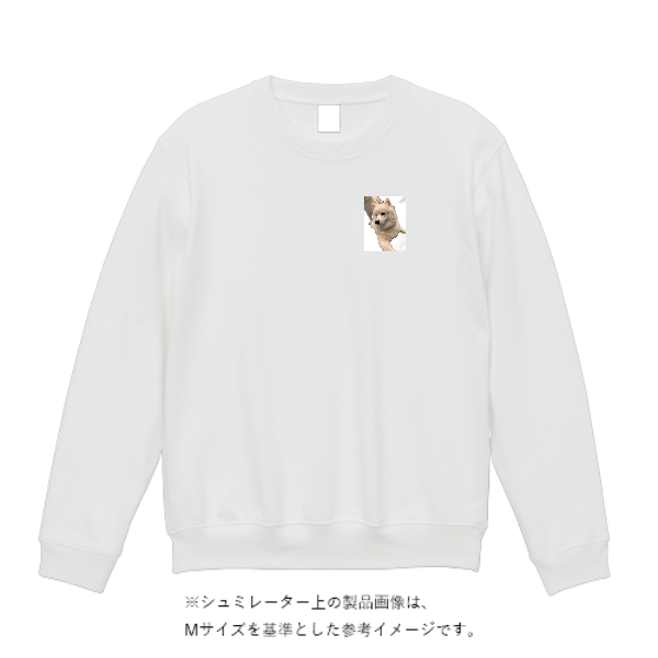 12.7オンス ヘヴィーウェイト クルーネック スウェット（裏パイル）