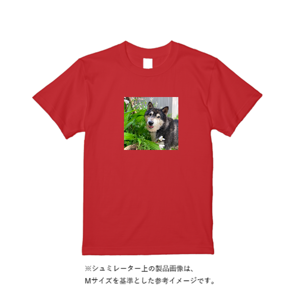 5.6オンス ヘビーウエイトＴシャツ（定番カラー）