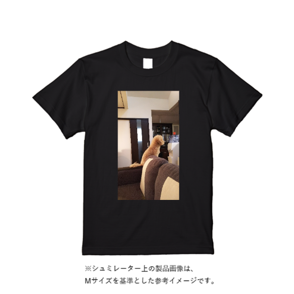 4.7オンス ドライシルキータッチTシャツ