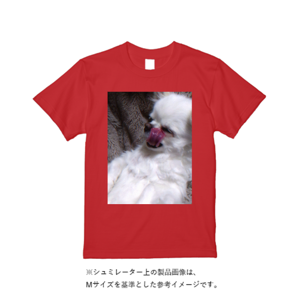 5.6オンス ヘビーウエイトＴシャツ（定番カラー）