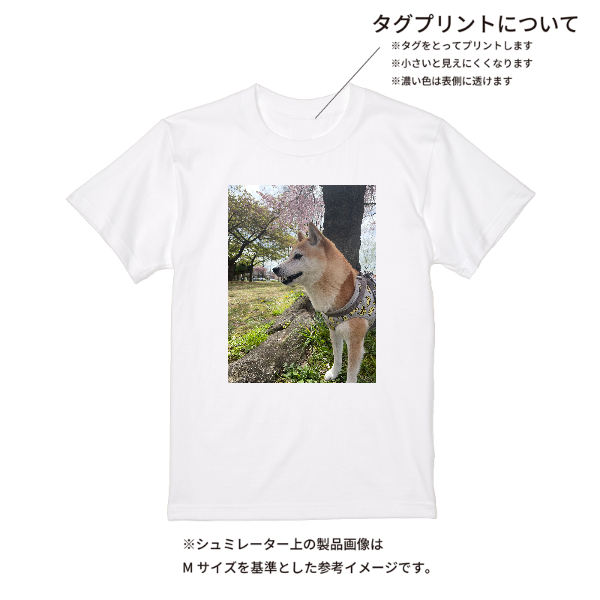 【即日発送】超特急Tシャツ - ホワイト
