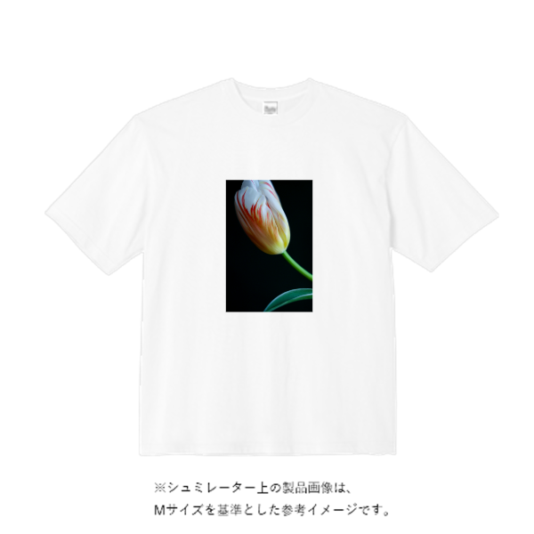 ビッグTシャツ
