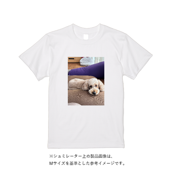 5.6オンス ハイクオリティーＴシャツ