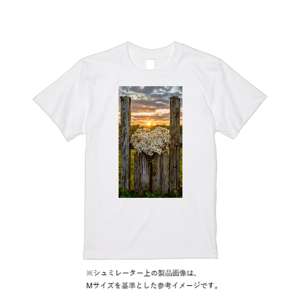 5.6オンス ハイクオリティーＴシャツ
