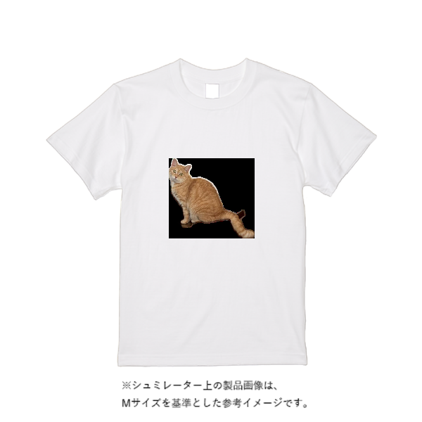 6.2オンス プレミアム Ｔシャツ