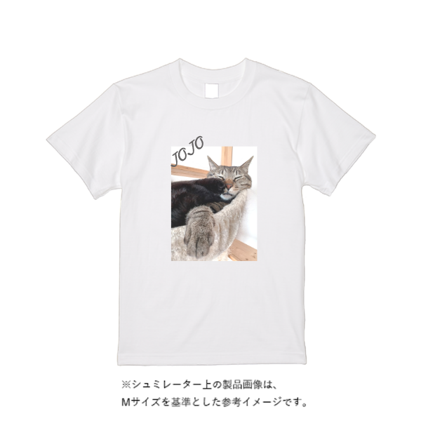 6.2オンス プレミアム Ｔシャツ