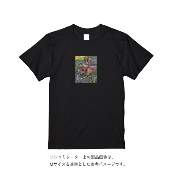 6.2オンス プレミアム Ｔシャツ