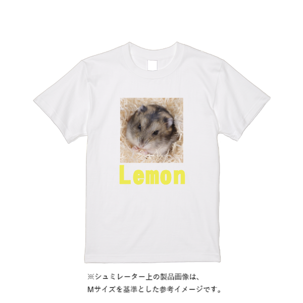 5.6オンス ヘビーウエイトＴシャツ（定番カラー）