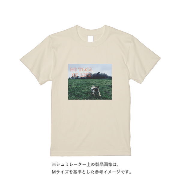 5.6オンス ヘビーウエイトＴシャツ（定番カラー）