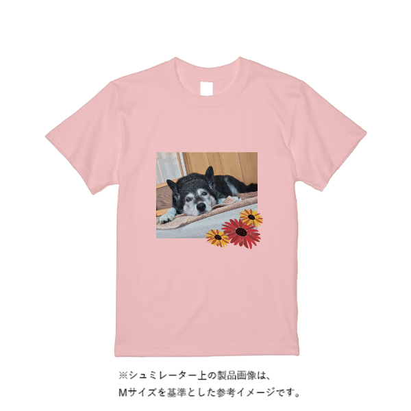 5.6オンス ハイクオリティーＴシャツ