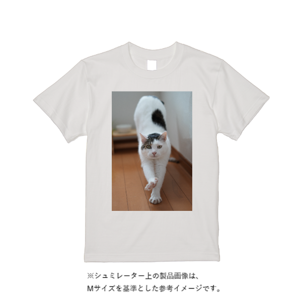 5.6オンス ハイクオリティーＴシャツ（トレンドカラー）