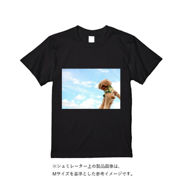 5.6オンス ヘビーウエイトＴシャツ（定番カラー）