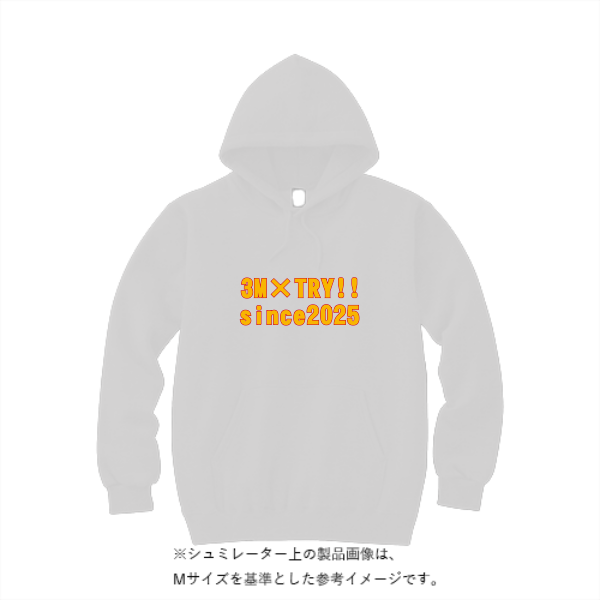 10.0オンス T/C スウェット プルオーバー パーカ（裏起毛）