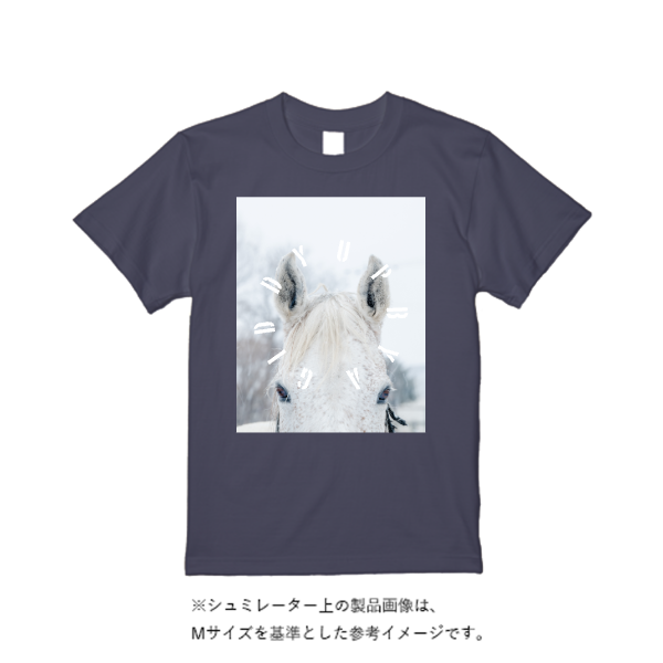 6.1oz ガーメントダイTシャツ