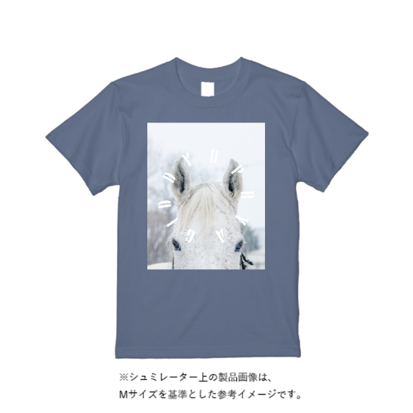 6.1oz ガーメントダイTシャツ