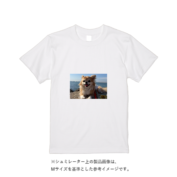 5.6オンス ヘビーウエイトＴシャツ（定番カラー）