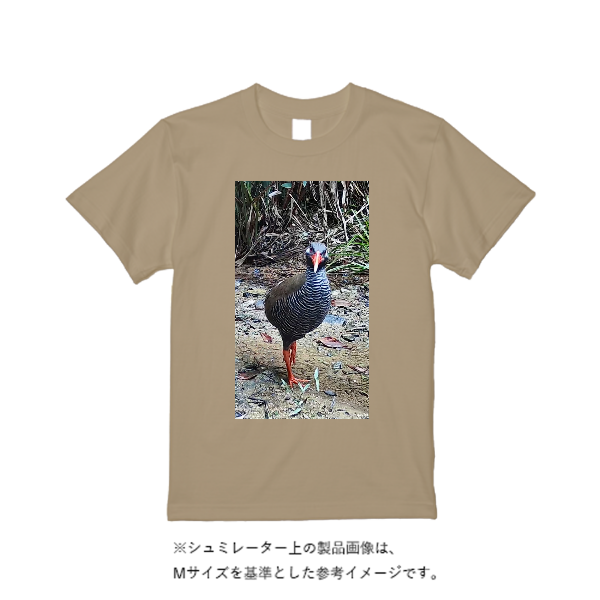 5.6オンス ハイクオリティーＴシャツ（トレンドカラー）