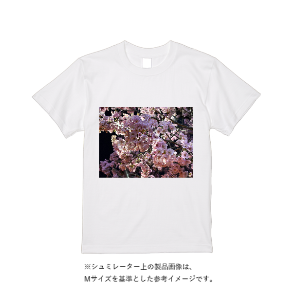 5.6オンス ヘビーウエイトＴシャツ（定番カラー）