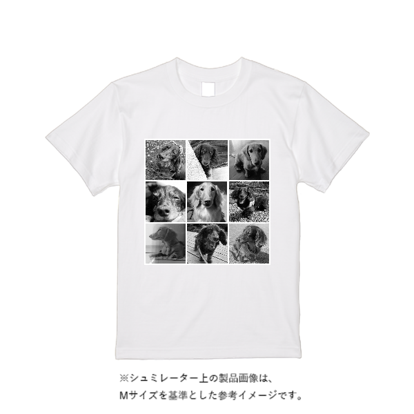 5.6オンス ハイクオリティーＴシャツ