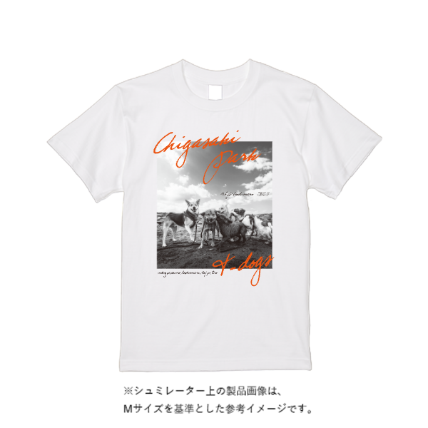 5.6オンス ハイクオリティーＴシャツ
