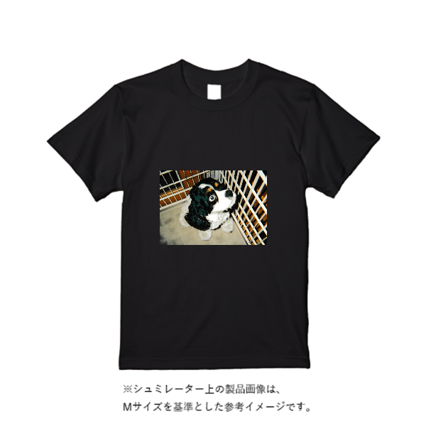 5.6オンス ヘビーウエイトＴシャツ（定番カラー）