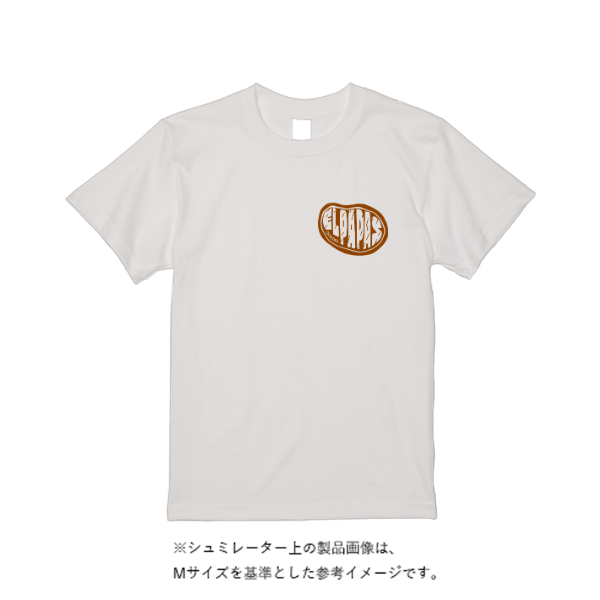 5.6オンス ハイクオリティーＴシャツ（トレンドカラー）