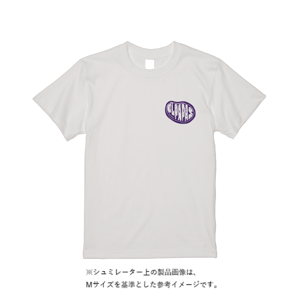 5.6オンス ハイクオリティーＴシャツ（トレンドカラー）