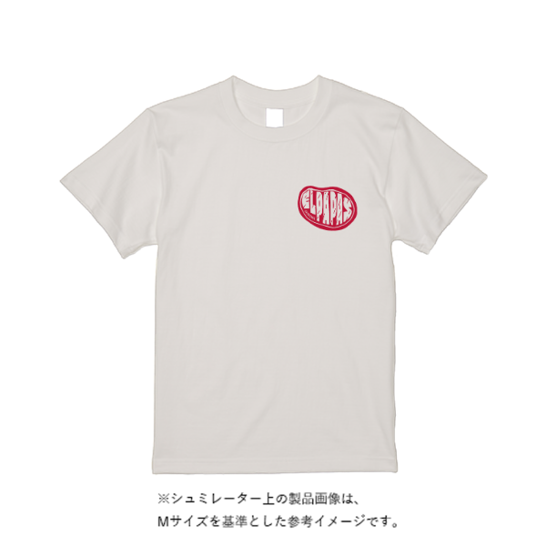5.6オンス ハイクオリティーＴシャツ（トレンドカラー）