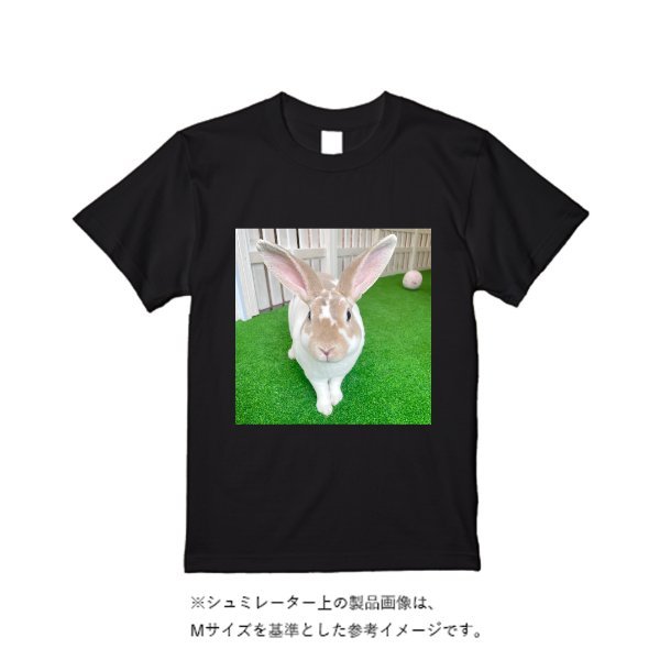 4.7オンス ドライシルキータッチTシャツ - タカハマライフアート
