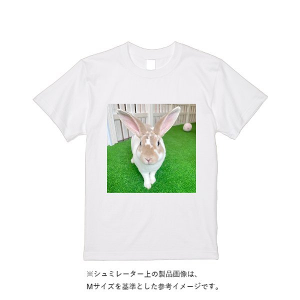 4.7オンス ドライシルキータッチTシャツ - タカハマライフアート