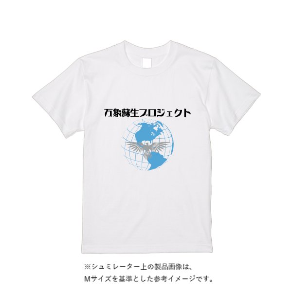 4.7オンス ドライシルキータッチTシャツ - タカハマライフアート