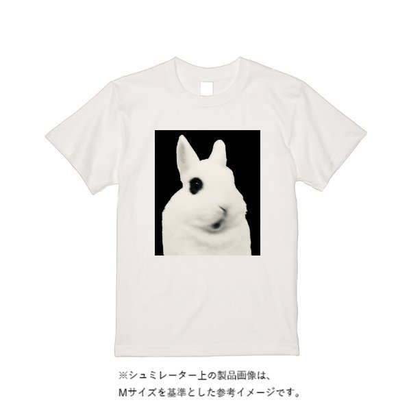 4.8オンス フルーツベーシック Tシャツ - タカハマライフアート