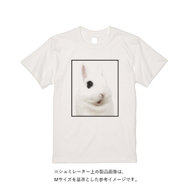 4.8オンス フルーツベーシック Tシャツ - タカハマライフアート