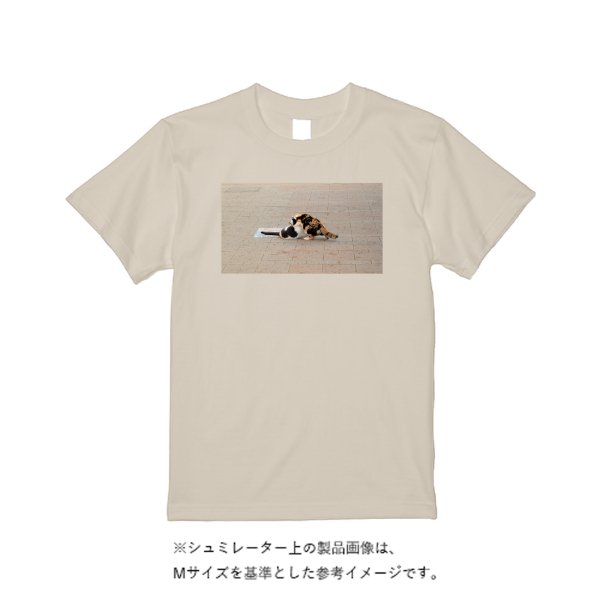5.6オンス ハイクオリティーＴシャツ（トレンドカラー） - タカハマライフアート