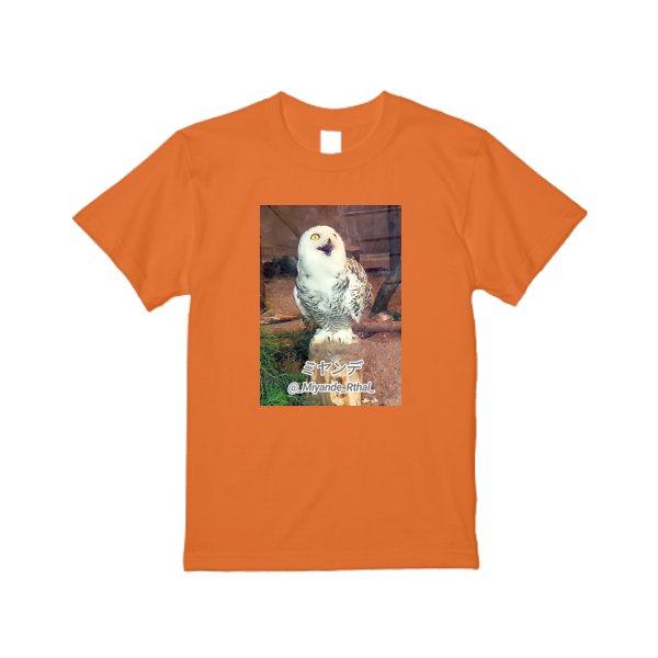 5.6オンス ヘビーウエイトＴシャツ - タカハマライフアート