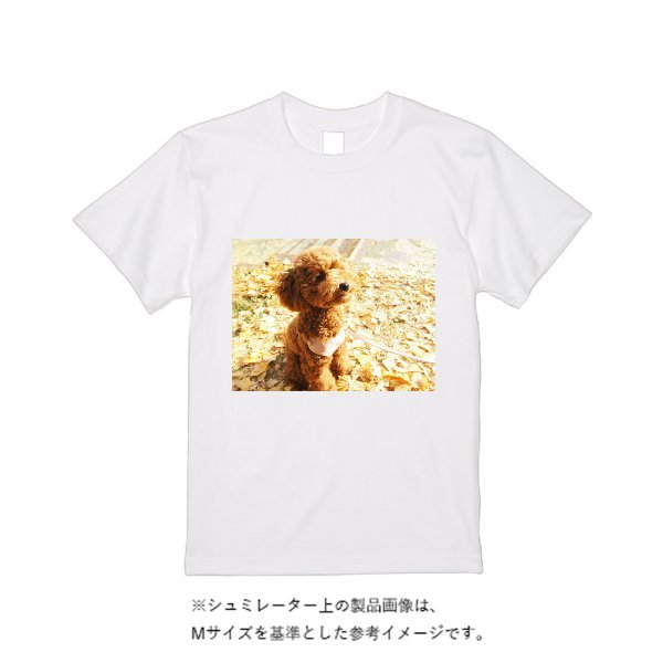 5.6オンス ハイクオリティーＴシャツ - タカハマライフアート