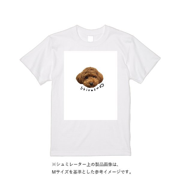 5.6オンス ハイクオリティーＴシャツ - タカハマライフアート