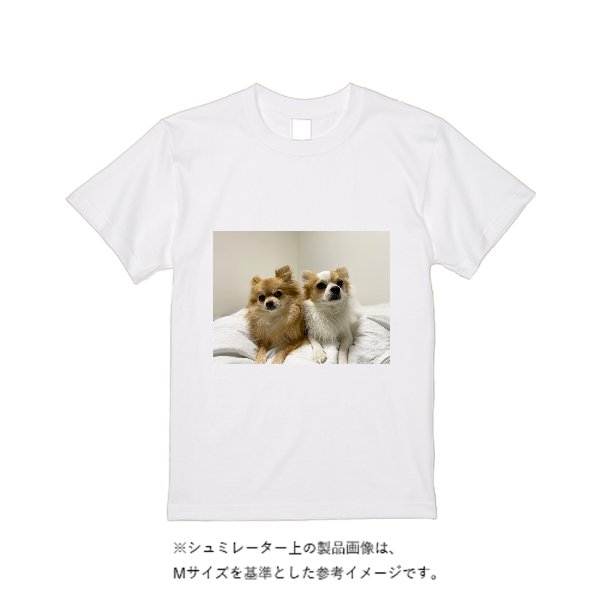 5.6オンス ヘビーウエイトＴシャツ（定番カラー） - タカハマライフアート
