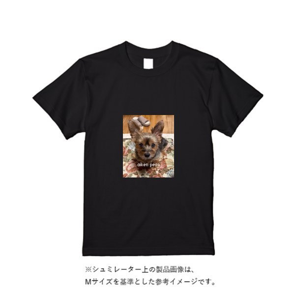 5.6オンス ヘビーウエイトＴシャツ - タカハマライフアート