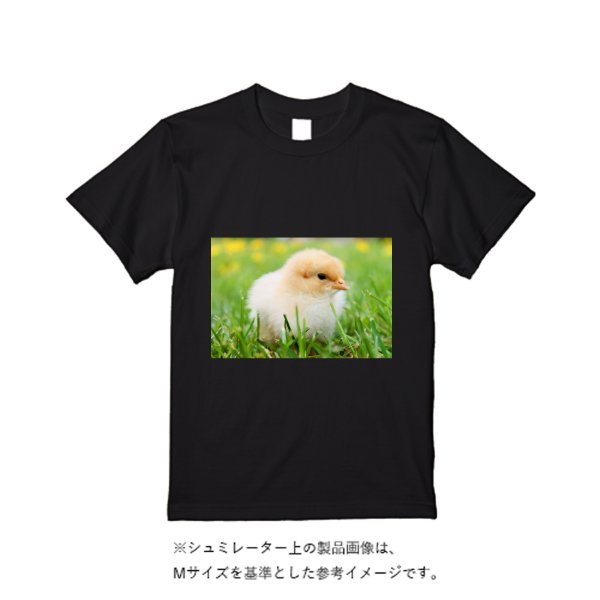 5.6オンス ヘビーウエイトＴシャツ（定番カラー） - タカハマライフアート