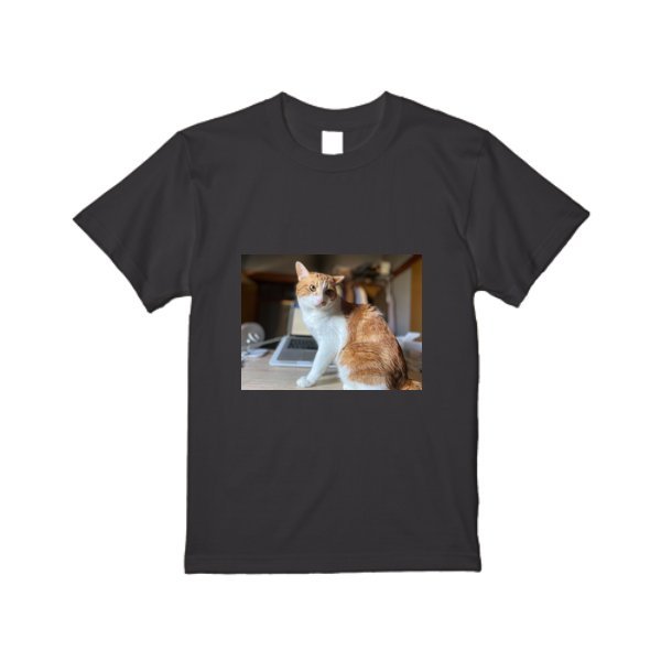 5.6オンス ヘビーウエイトＴシャツ - タカハマライフアート