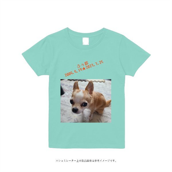 5.6オンス ヘビーウエイトＴシャツ(レディース) - タカハマライフアート
