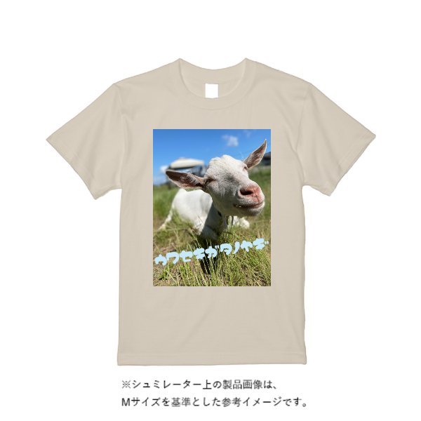 5.6オンス ドライコットンタッチ Tシャツ（ローブリード） - タカハマライフアート