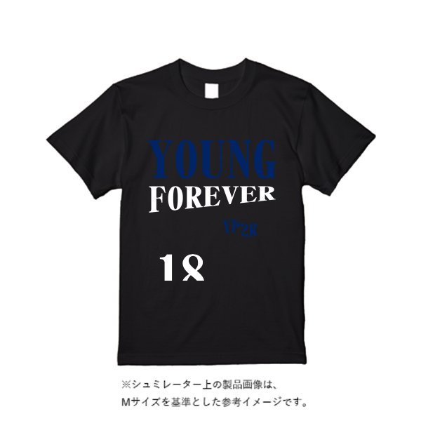 5.6オンス ハイクオリティーＴシャツ - タカハマライフアート