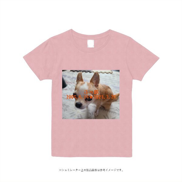 5.6オンス ヘビーウエイトＴシャツ(レディース) - タカハマライフアート