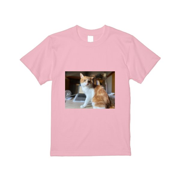 5.6オンス ハイクオリティー Ｔシャツ - タカハマライフアート