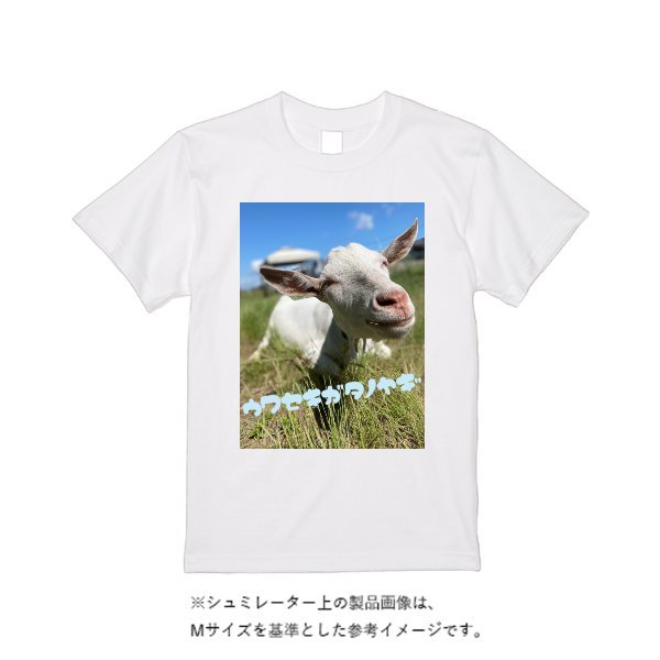 5.6オンス ドライコットンタッチ Tシャツ（ローブリード） - タカハマライフアート