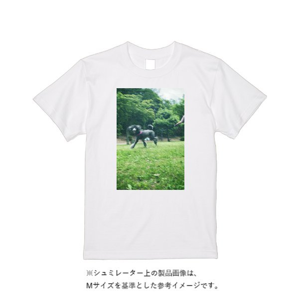 5.6オンス ハイクオリティーＴシャツ - タカハマライフアート